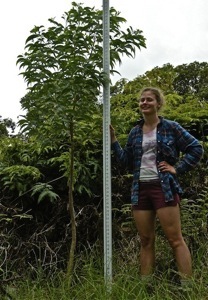 Early 2012: Almost 9 feet tall and healthy