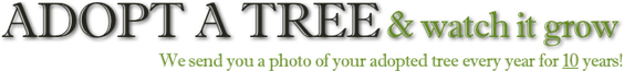 Adopt-a-Tree.net Logo. Unique gift of koa tree. Adopt a tree and watch it grow.