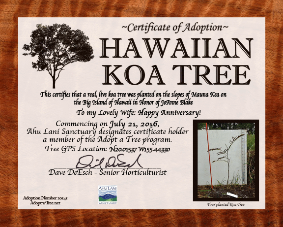 Sample Adoption Certificate Featuring A Hawaiian Koa Tree