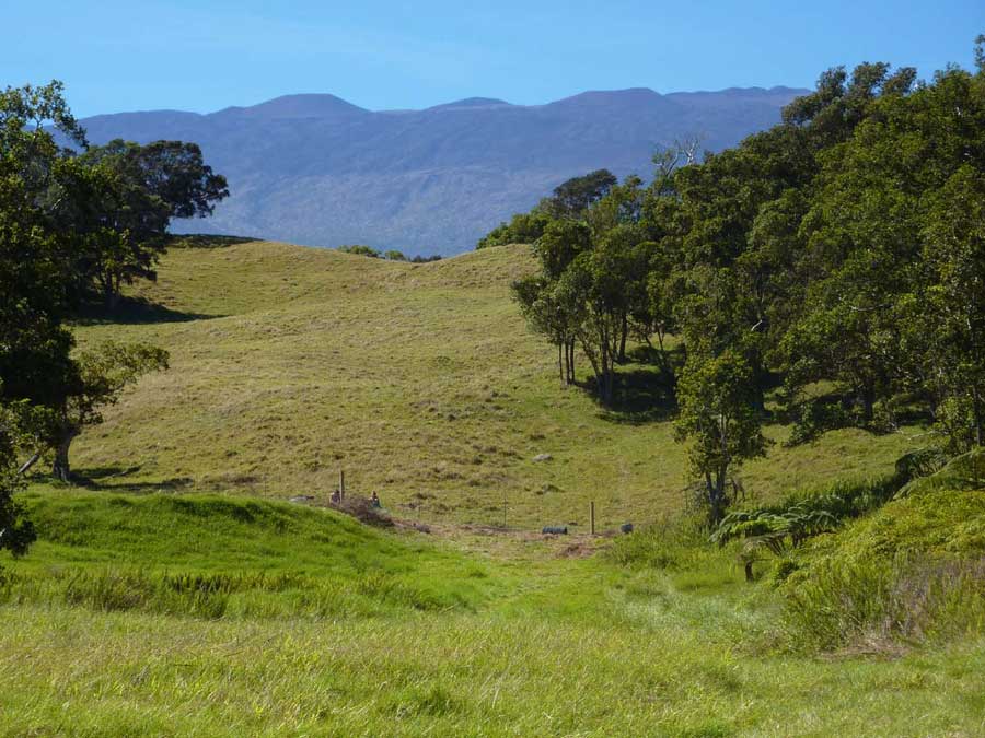 Hawaii climate zones showing rainforest to snowy mountain top